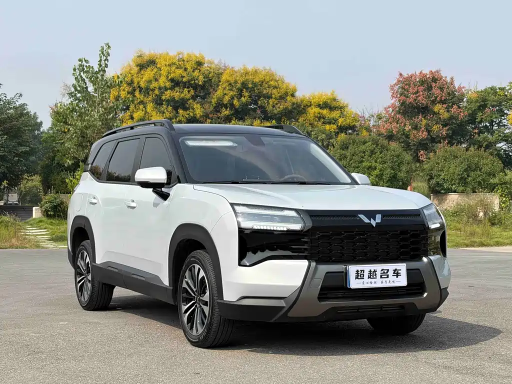 Wuling Xingguang 560 — миниатюра 3