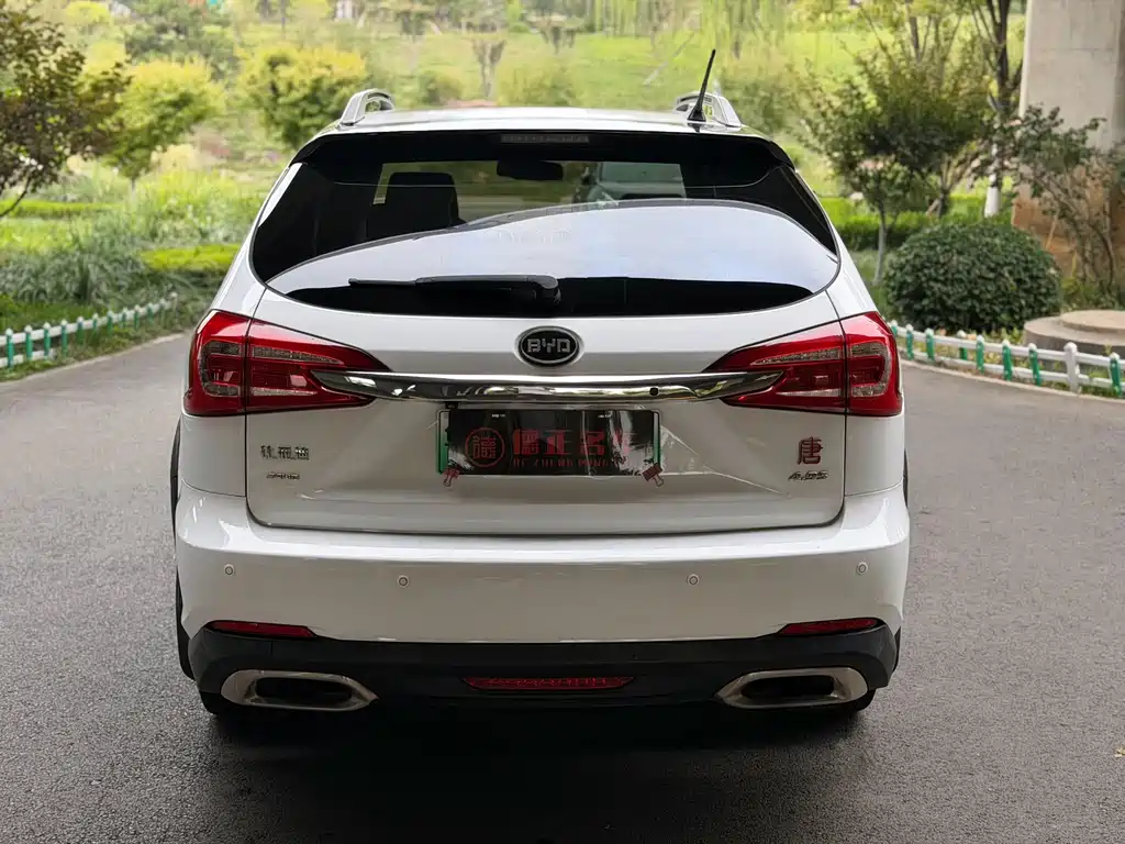 BYD Tang New Energy — миниатюра 6