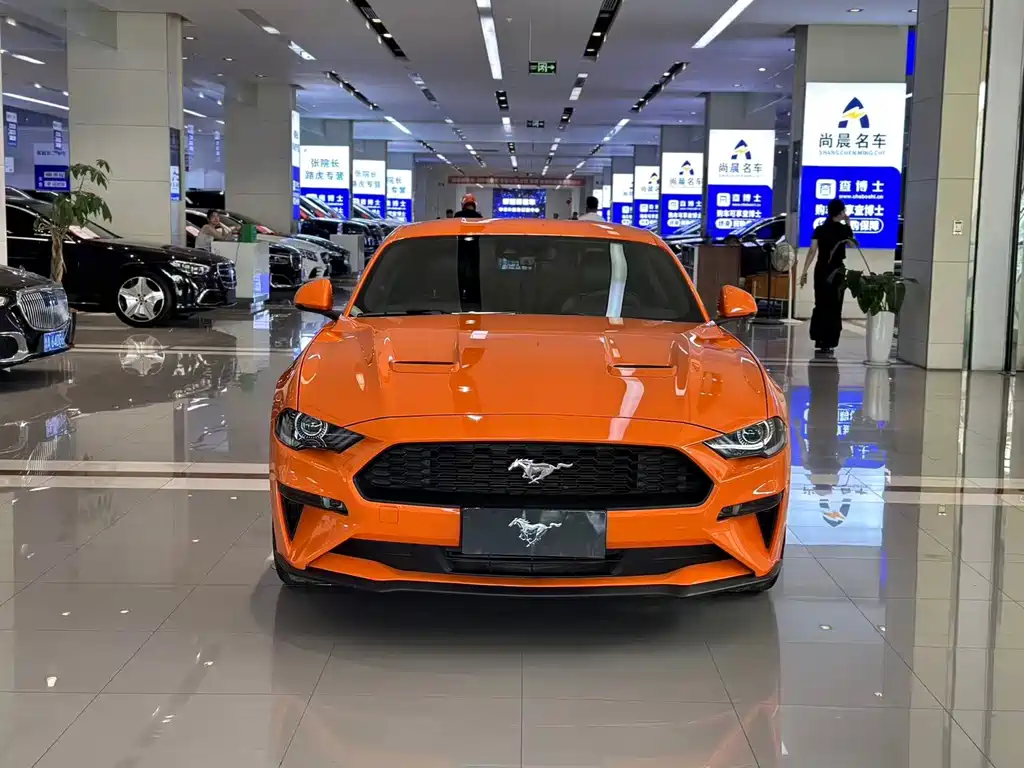 Ford Mustang — миниатюра 11