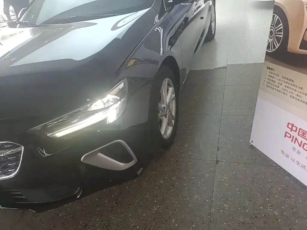 Buick Regal — миниатюра 23