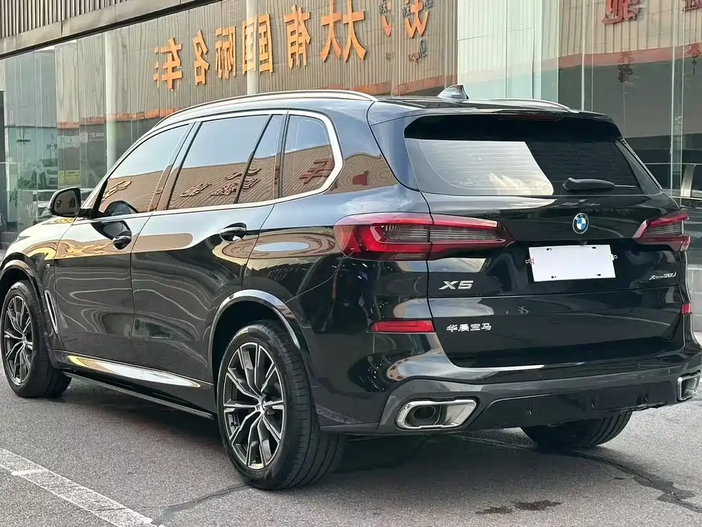 BMW X5 — миниатюра 8