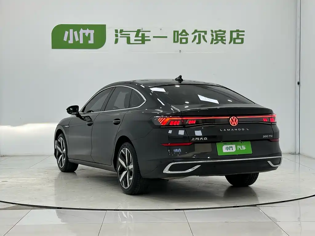 Volkswagen Lamando — миниатюра 4