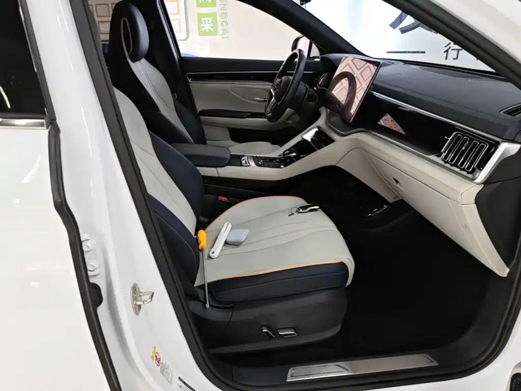 BYD PLUS New Energy — миниатюра 25