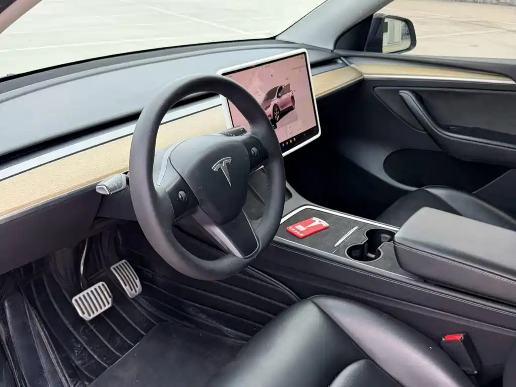 Tesla Model Y — миниатюра 6