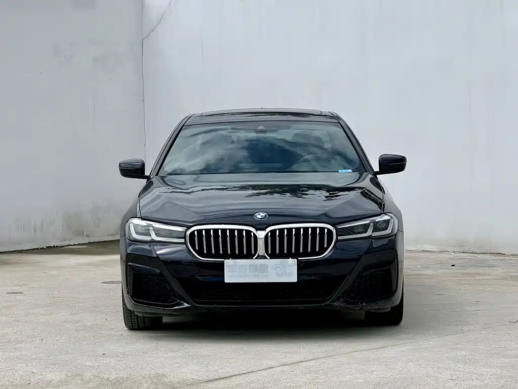 BMW 5 Series — миниатюра 2