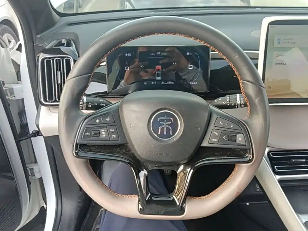 BYD Pro New Energy — миниатюра 11