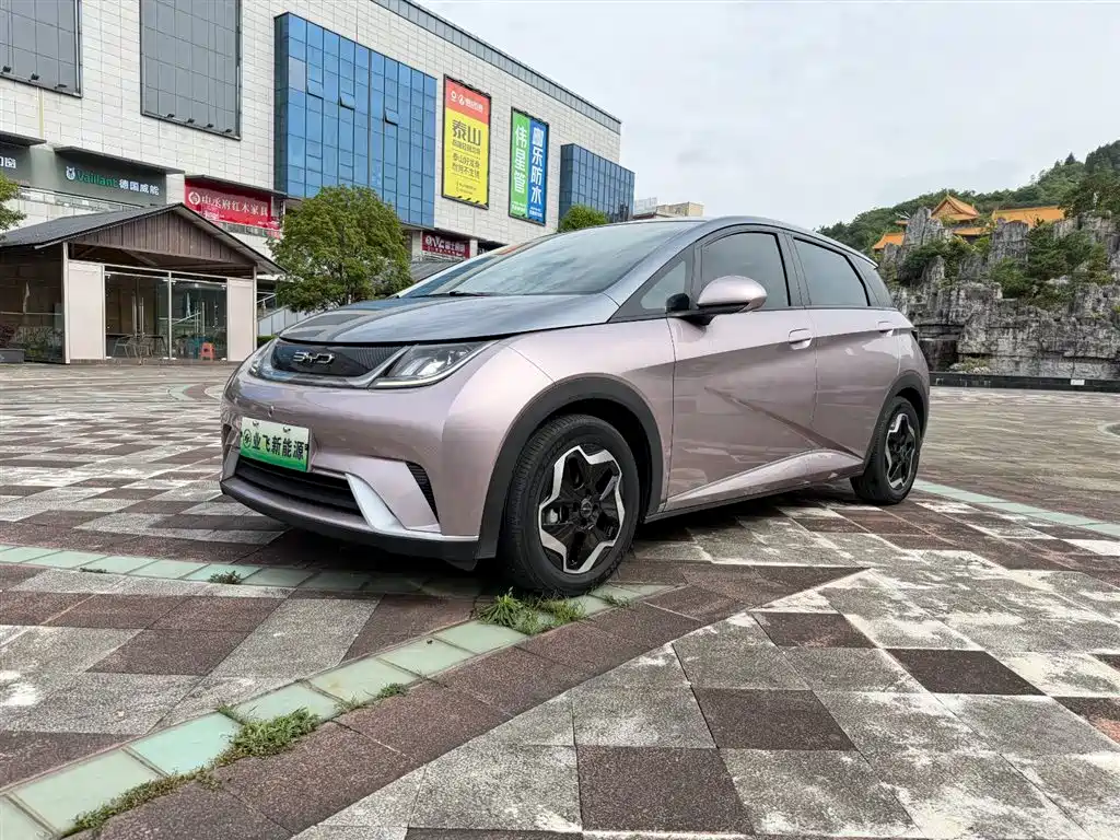 Byd Dolphin 2022