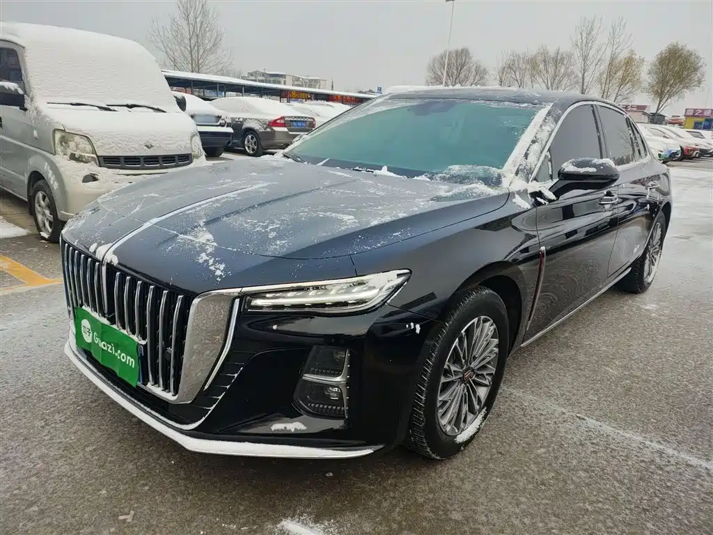 Hongqi Hongqi H5 2024