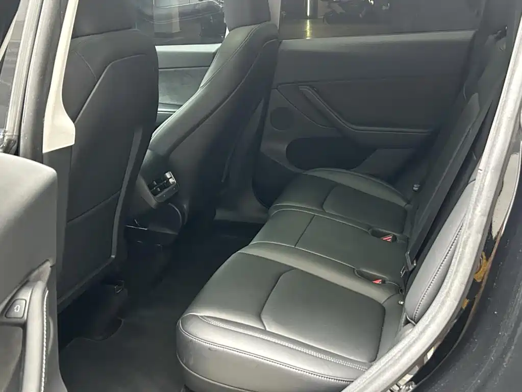 Tesla Model Y — миниатюра 6