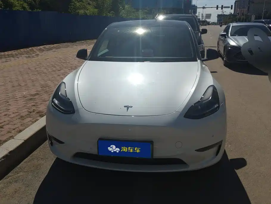 Tesla Model Y — миниатюра 2