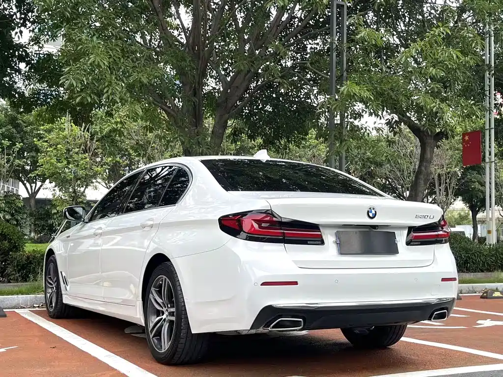 BMW 5 Series 5 2021 530Li Lead Luxury
