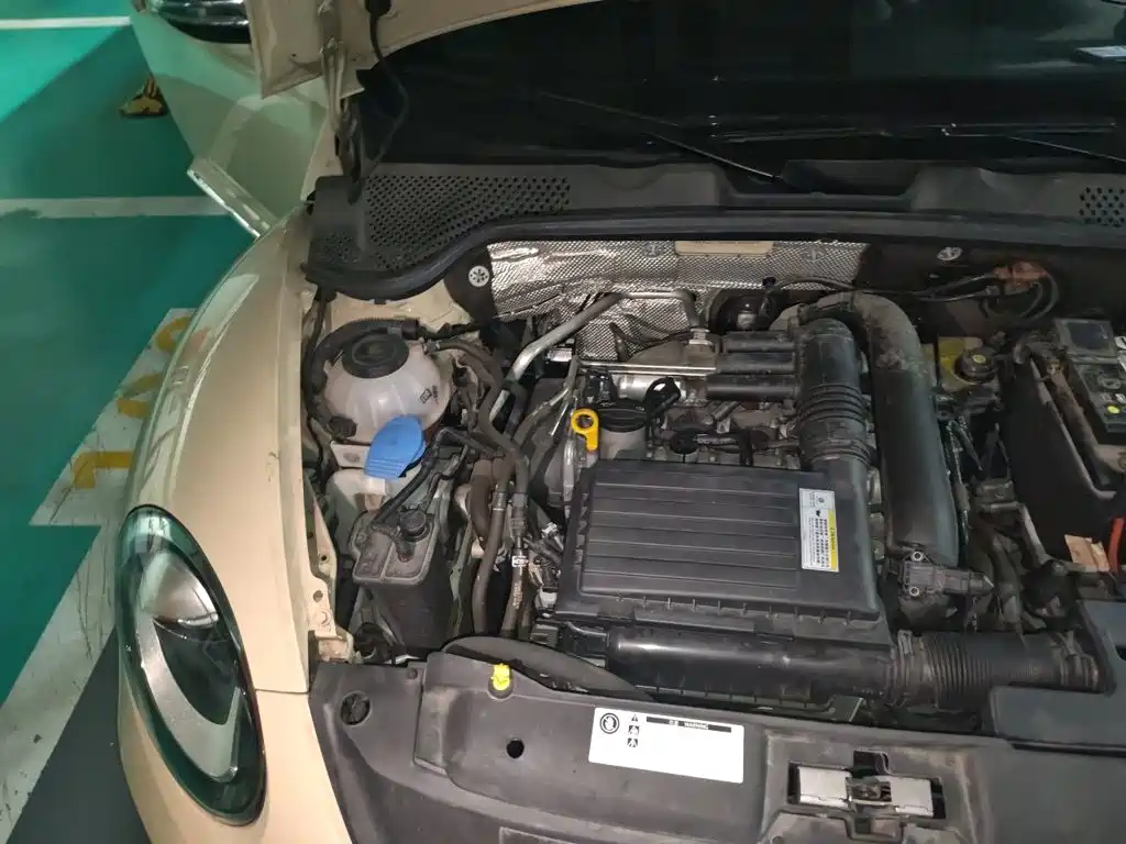 Volkswagen Beetle — миниатюра 20