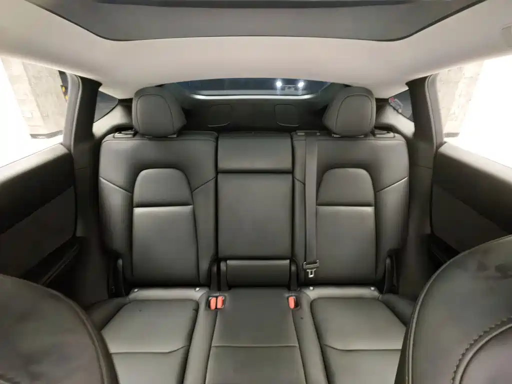 Tesla Model Y — миниатюра 15