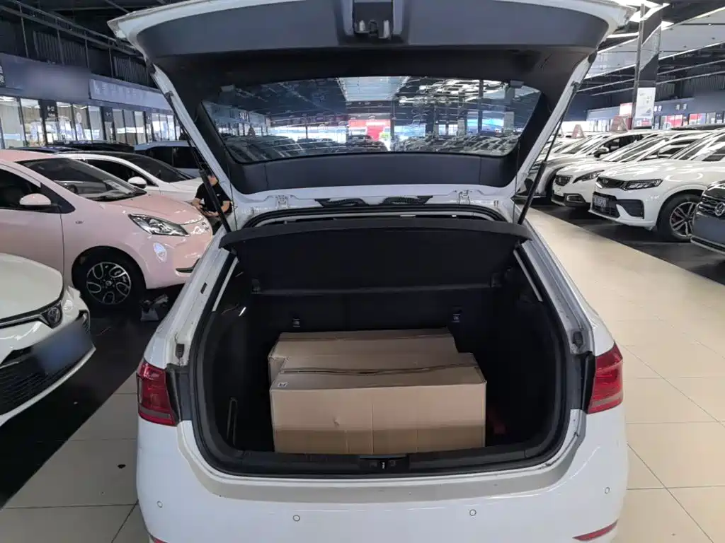 Volkswagen Gran Lavida — миниатюра 19