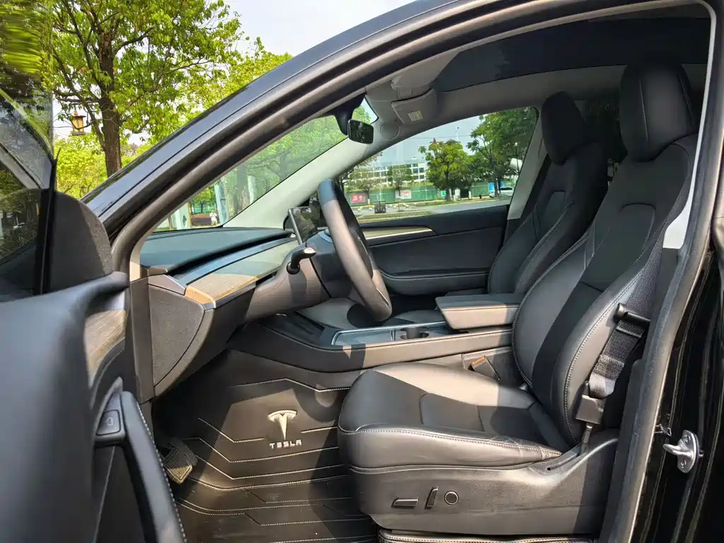Tesla Model Y — миниатюра 8