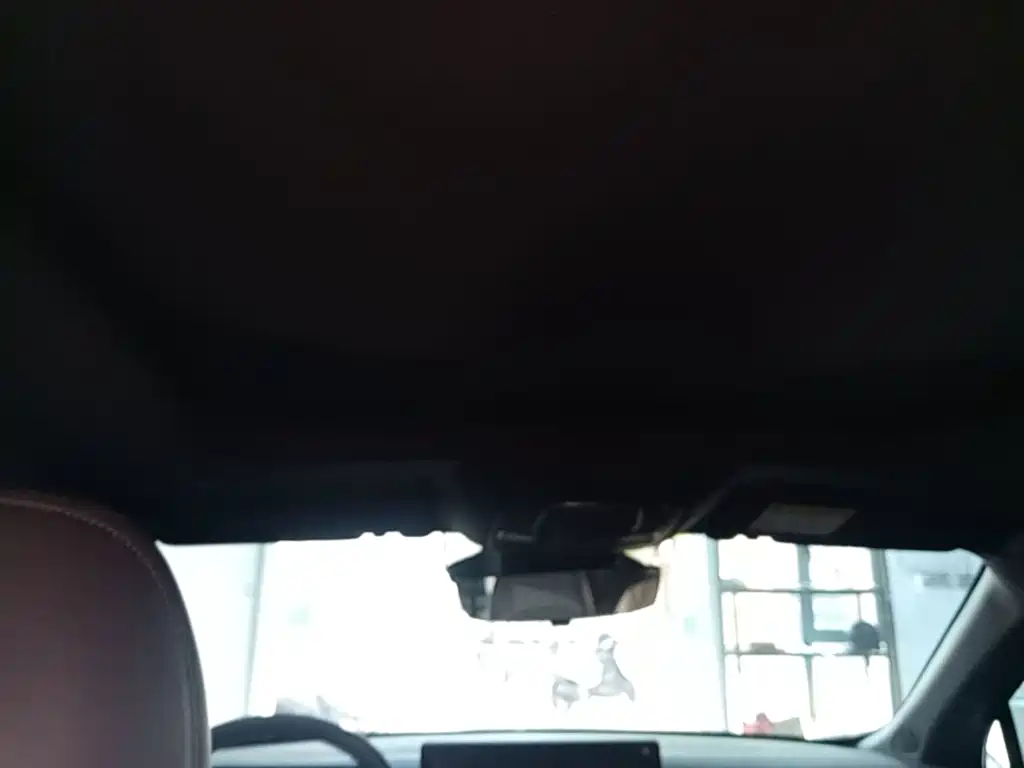 Roewe Wing Wai M7 DMH — миниатюра 14