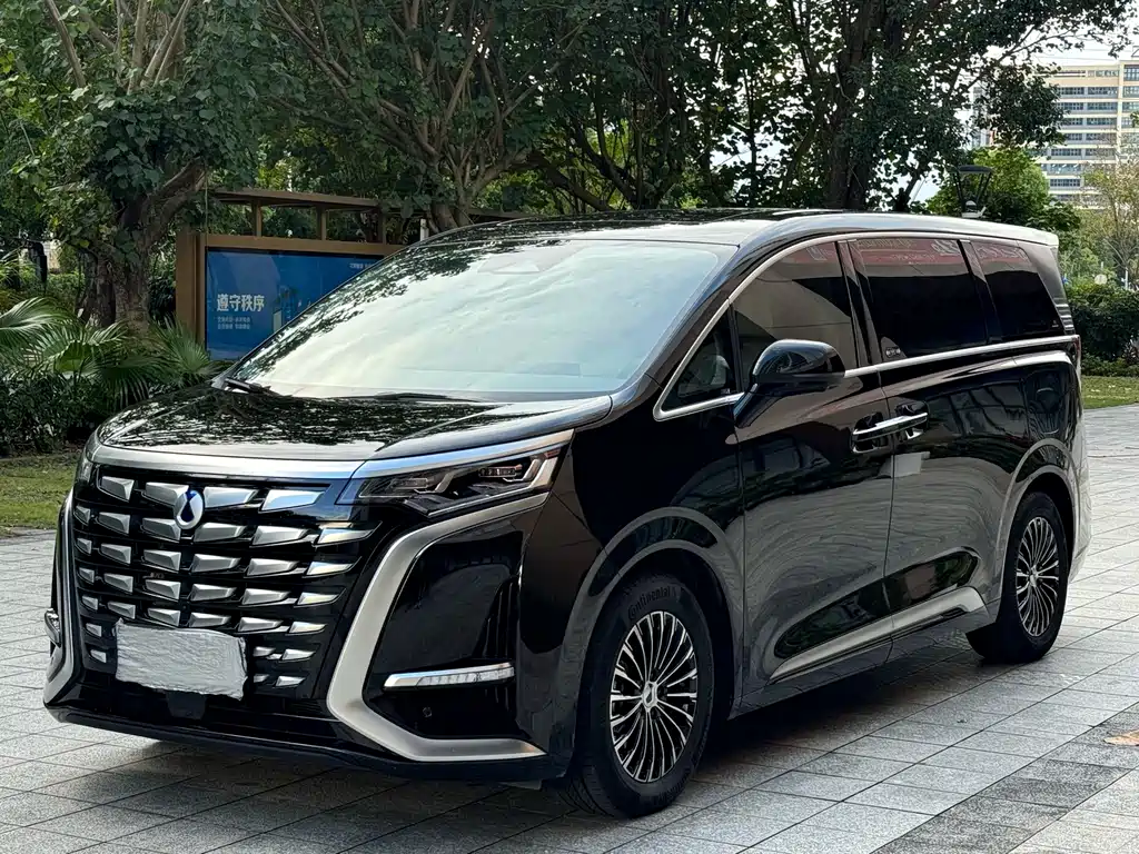 2023 Denza D9 - zdjęcie 1 z 22