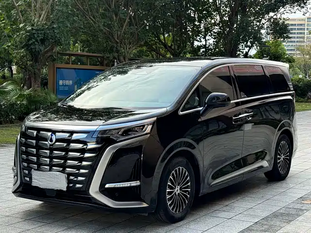2023 Denza D9