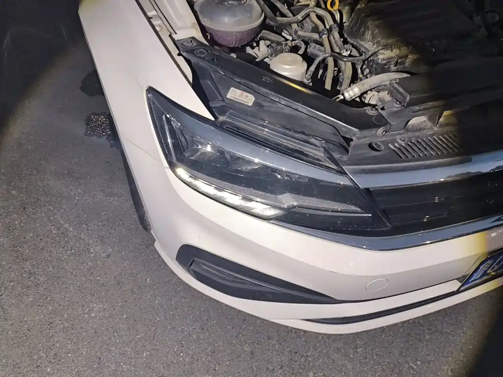 Volkswagen Lamando — миниатюра 7