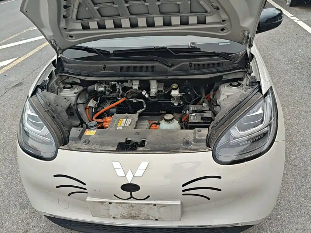 Wuling Bingo — миниатюра 20