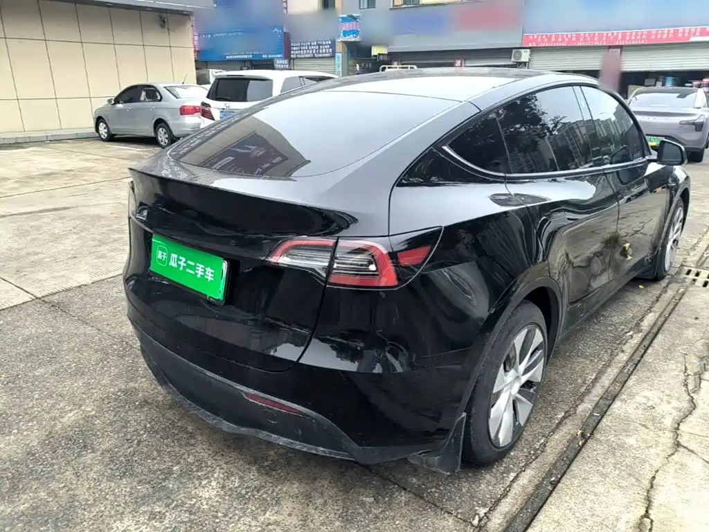 Tesla Model Y — миниатюра 7