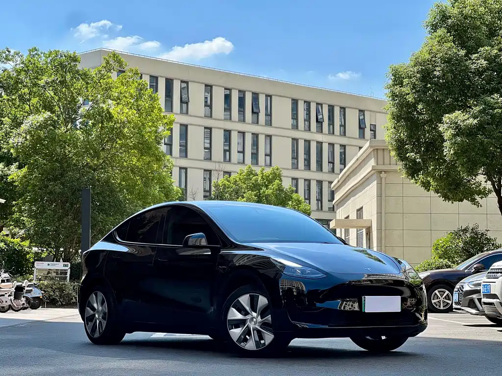Tesla Model Y — миниатюра 3