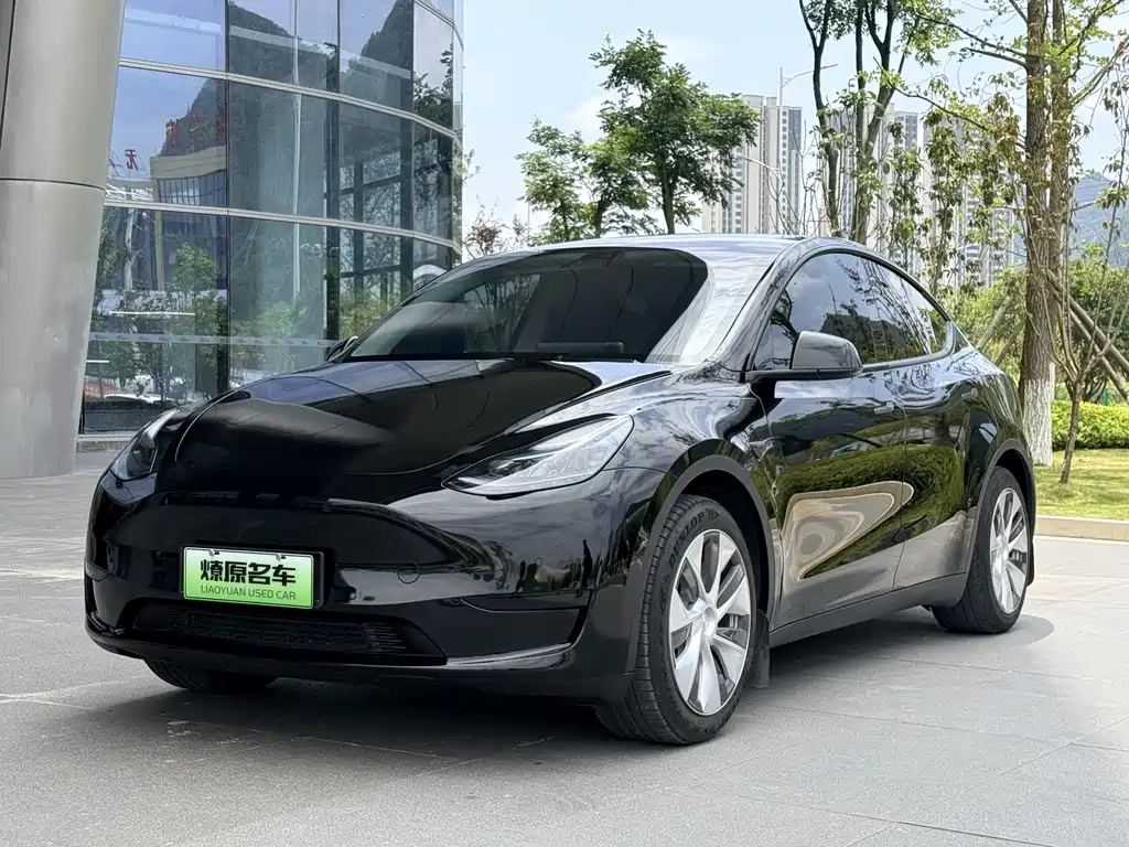 Tesla Model Y — фотографии объявления, Фото 2