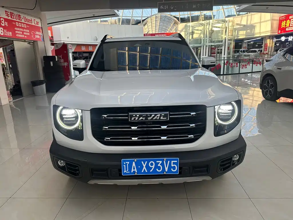 Haval Big Dog — миниатюра 2