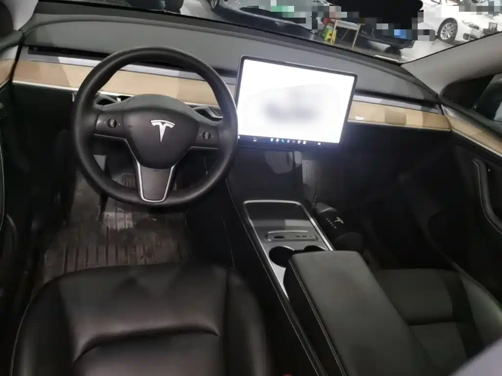 Tesla Model Y — миниатюра 10