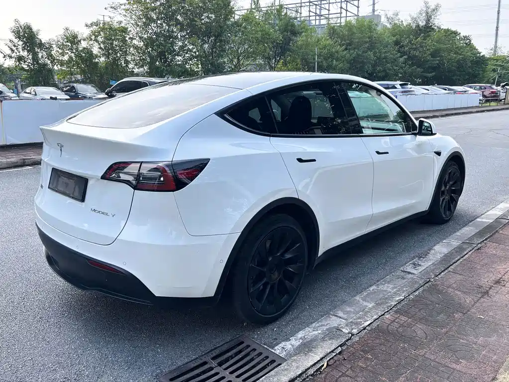 Tesla Model Y — миниатюра 4