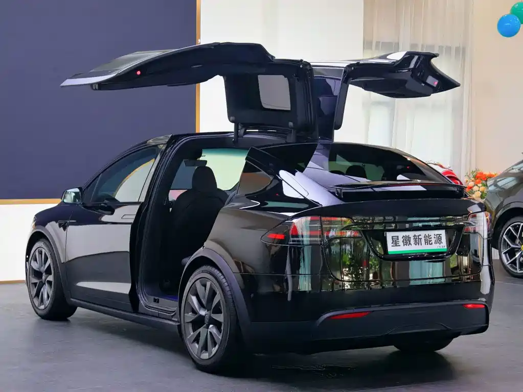 Tesla Model X 2023 — фото 23