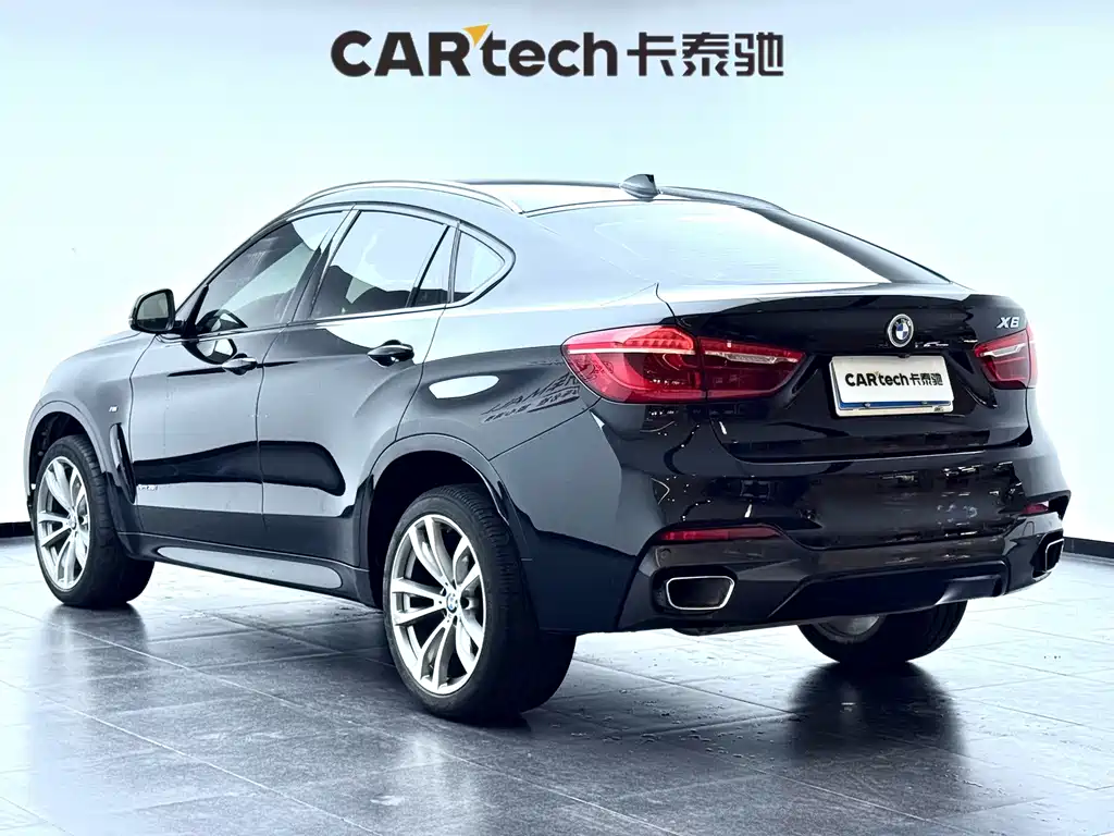 BMW X6 — миниатюра 7