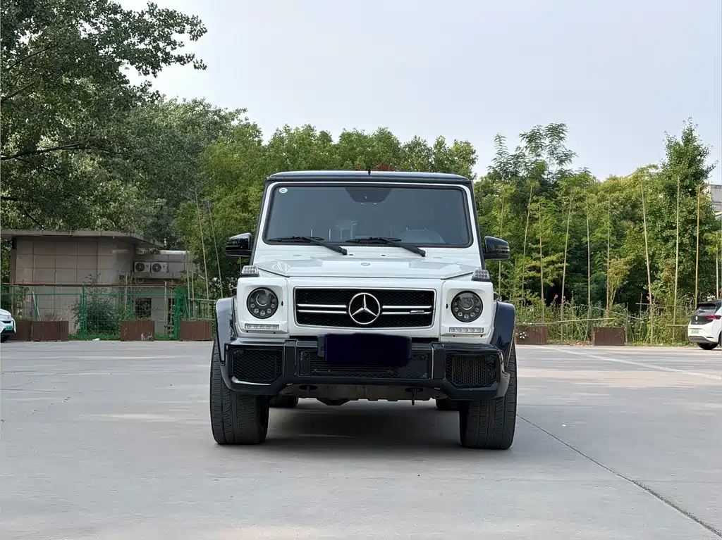 Mercedes-Benz G-Class A MG G AMG 2013 AMG G 63