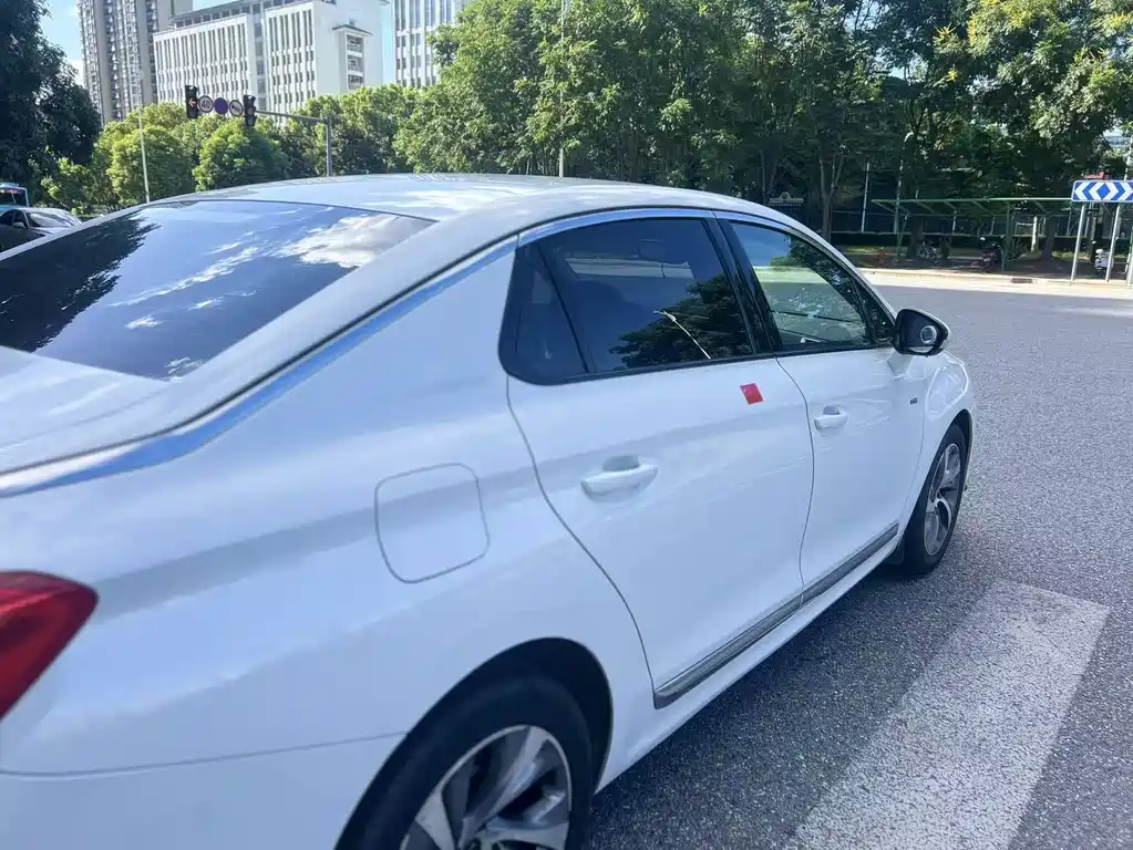 DS DS 5LS — миниатюра 17