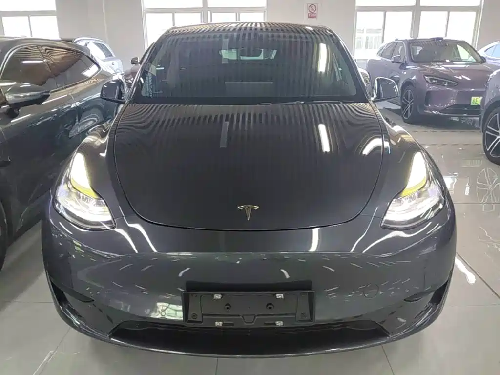 Tesla Model Y — миниатюра 3