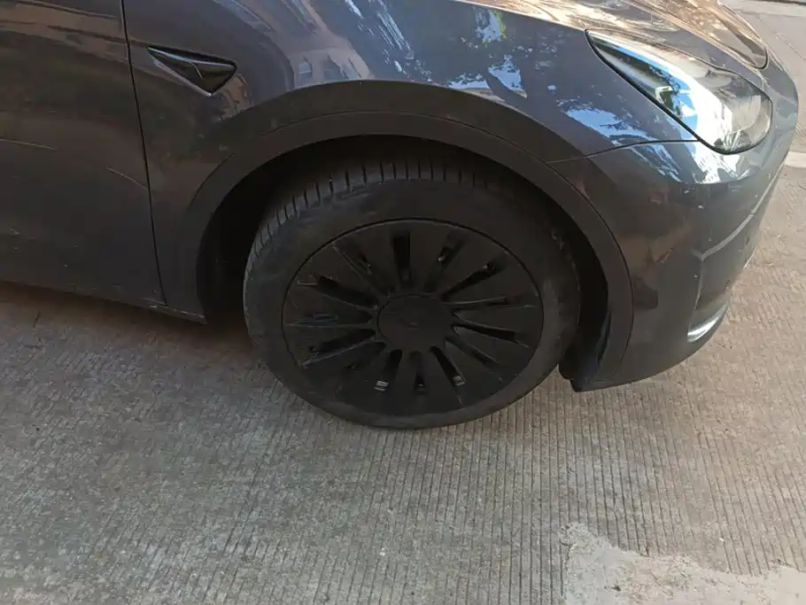 Tesla Model Y — миниатюра 6