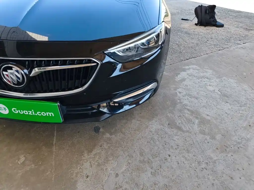 Buick Regal — миниатюра 24