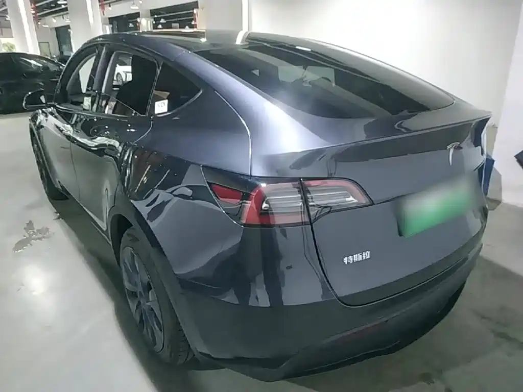 Tesla Model Y — миниатюра 5