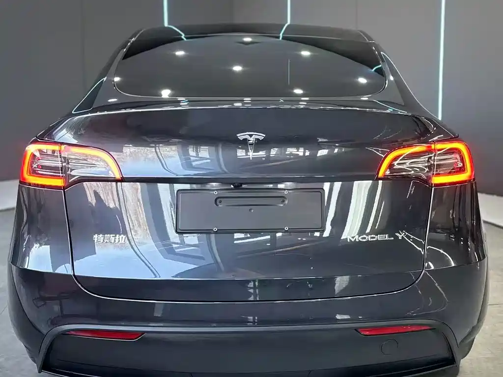 Tesla Model Y — миниатюра 7