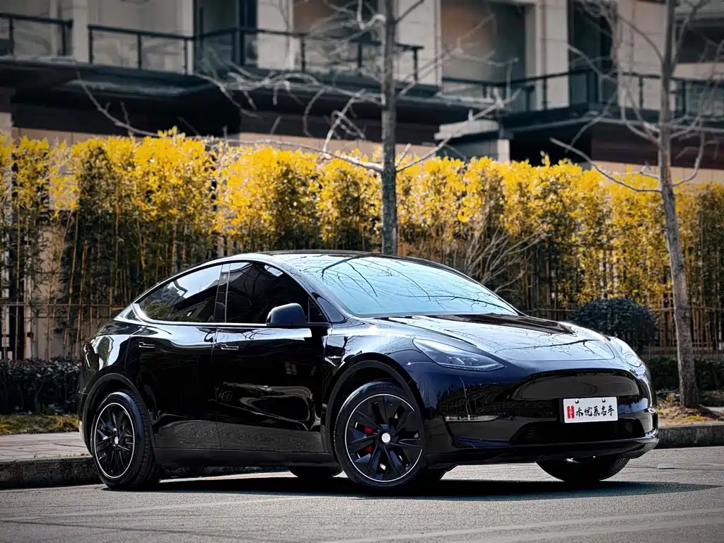Tesla Model Y — миниатюра 3