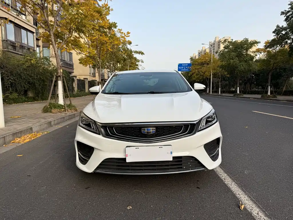 GEELY AUTOMOBILE BINRUI