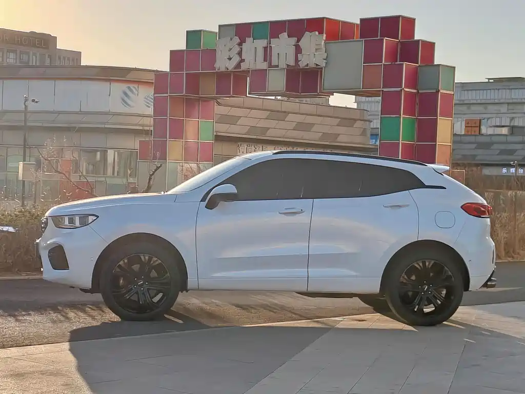 WEI PAI WEI BRAND VV5