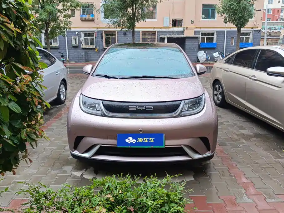 BYD Dolphin — миниатюра 2