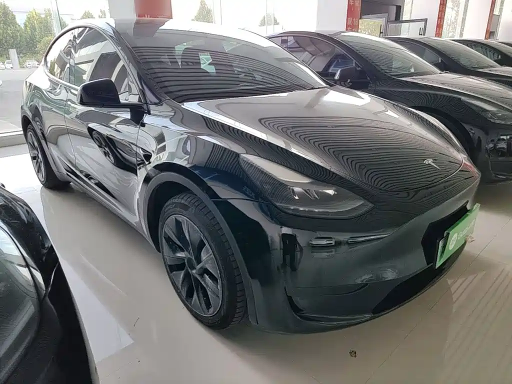 Tesla Model Y — миниатюра 4