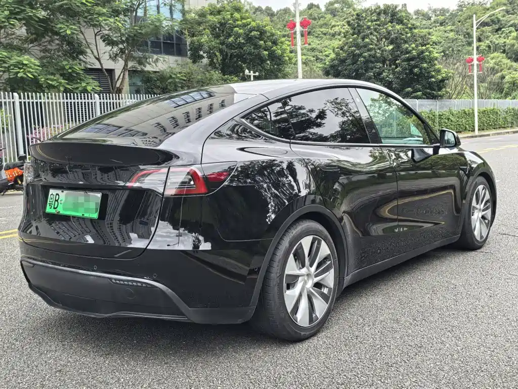 Tesla Model Y — миниатюра 5