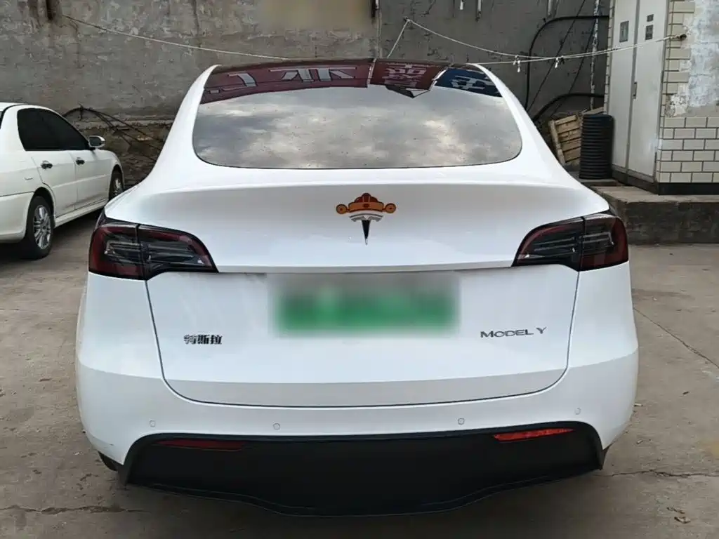 Tesla Model Y — миниатюра 6