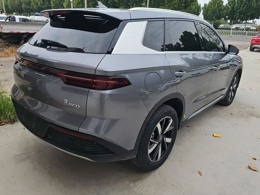 BYD Pro New Energy - фото 3