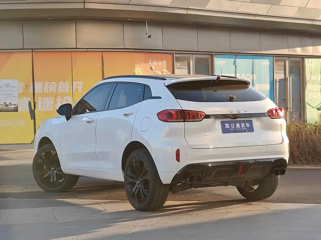 WEI PAI WEI BRAND VV5