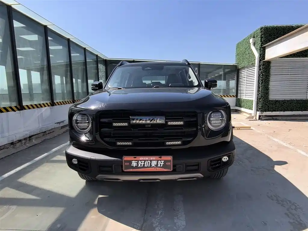 HAVAL  BIG DOG