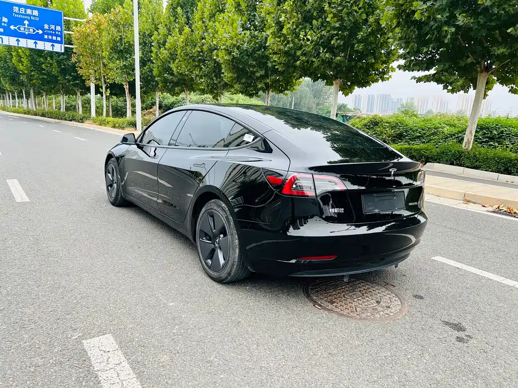Tesla Model 3 — миниатюра 8